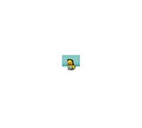 TUBBZ – Figurine en vinyle Mini Tomb Raider Lara Croft – Mini canard en cosplay