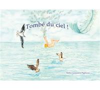 Tombé du ciel ! - Maïlys Laroussinie Pagliuzza - Les Illustrations De Mailys - broché - Contes et légendes jeunesse