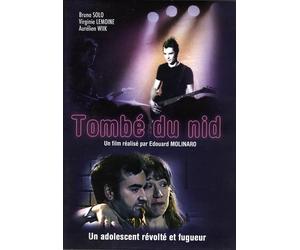 Tombé Du Nid