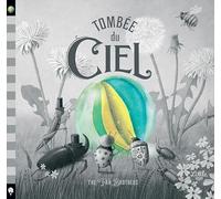 Tombée du ciel