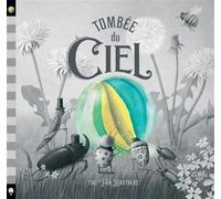 Tombée du ciel - Terry Fan - Little Urban - cartonné - Album jeunesse