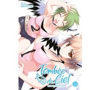 Tombée du Ciel - Tome 16 Suu Minazuki (Auteur), Suu Minazuki (Illustration), Suu Minazuki (Scénario)