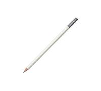 Tombow Stylo couleur IROJITEN | Couleur gris pigeon | mine à base de cire de qualité supérieure avec haute brillance de couleur | Crayon de couleur pour artistes professionnels et amateurs [CI-RP10]