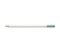 Tombow Stylo couleur IROJITEN | Couleur quartz vert | mine à base de cire de qualité supérieure avec haute brillance de couleur | Crayon de couleur pour artistes professionnels et amateurs [CI-RLG7]