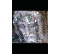 Tome 1 : Le Saint Suaire: Révélations extraordinaires sur les dernières reliques du Christ