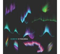 Reid, Kitamura, Bynum, Morris - Geometry of Phenomena
