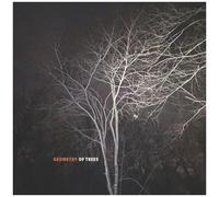 Tomeka Reid - Geometry Of Trees [Compact Discs]