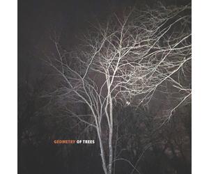 Tomeka Reid, Kyoko Kitamura, Taylor Ho Bynum, Joe Morris Geometry of Trees (CD)