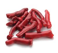 TOMETURE 5 Pcs Pendentif en Forme de Branche Colorée pour Collier DIY Filles, Accessoires de Bijoux Élégants, Fournitures de Fête Costume, Matériau Naturel
