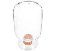 TOMETURE Pot de Rangement en Verre Créatif et Facile à Transporter Capacité 500 ML, Couvercle en Bois, Multifonctionnel pour Allumettes et Petites Œuvres d'art