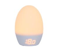 TOMMEE TIPPEE Thermomètre numérique Groegg USB