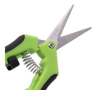 Tommiy Professionall Ciseaux d'élagage ergonomiques en acier inoxydable vert à ressort - Petit sécateur multi-usages pour plantes, fleurs, élagage domestique, jardin