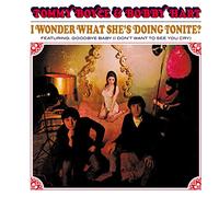 Tommy Boyce & Bobby Hart - I Wonder What She'S Doing Tonite?