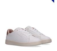 Tommy Hilfiger Adaptive Jack SneakerFille