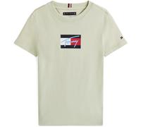 Tommy Hilfiger Kids' Script Regular Fit T-Shirt Misty Sage M1C 6Y Male