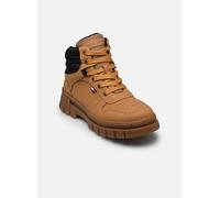 Tommy Hilfiger Michigan T3X5-35292 pour 34 Marron