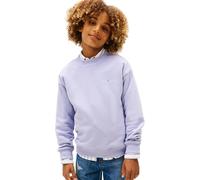 Tommy Hilfiger Mini Corp C-Neck Ks0ks00665 Sweatshirt sans Boutons, Bleu (Periwinkle Dusk), 7 Ans, Unisexe, Adulte, Bleu (Periwinkle Dusk), 7 Ans