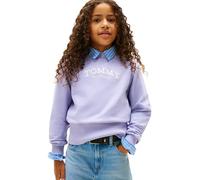 Tommy Hilfiger High Rib Hem Crew Neck Kg0kg08989 Sweat-Shirt à Enfiler, Blue (Periwinkle Dusk), 16 Ans Fille