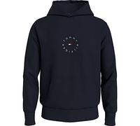 Tommy Hilfiger Roundall Graphic Sweat à Capuche Sweatshirt, Desert Sky, L Homme