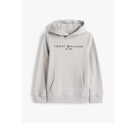 Tommy Hilfiger Sweat à capuche basique Gris 80
