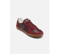 Tommy Hilfiger TH TRIBECA SNEAKER P pour 38 Bordeaux