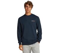 Tommy Jeans Homme TJM Reg Entry Graphic Crew Ext Dm0dm20849 Sweat-Shirt À Enfiler, Blue (Dark Night Navy), S EU