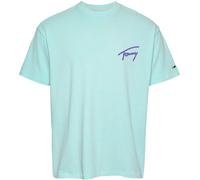 Tommy Jeans Men's Faded Graphic T-Shirt Menthe de printemps M Male