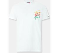 Tommy Jeans Men's Tjm Twisted Signature Regular Fit T-Shirt Écru 3XL Male