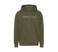 Sweat-shirt hommes Tommy Jeans TJM REG LINEAR LOGO HOODIE EXT Vert EU S