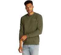 Tommy Jeans TJM REG Linear Crew EXT DM0DM20249 Sweat-Shirt à Enfiler, Green (Fatigue Green), XXL Homme