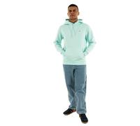 Tommy Jeans TJM Reg S Flag Hoodie Dm0Dm20742 Sweat à Capuche, Green (Spring Mint), M Men's