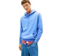 Tommy Jeans TJM Reg S Flag Hoodie Ext Dm0Dm20742 Sweat à Capuche, Blue (Light Horizon Blue), L Homme
