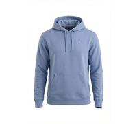 Tommy Jeans TJM Reg S Flag Hoodie Ext Dm0Dm20742 Sweat à Capuche, Blue (Light Horizon Blue), L Homme