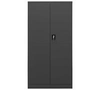 Tomostar Armoire à Balai, Armoire Utilitaire Multifonction Meuble de Rangement pour Aspirateur Balai Anthracite 90x40x180 cm Acier