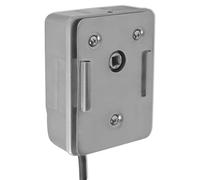 Tomostar Moteur électrique pour Barbecue, Moteur de Rôtissoire Tournebroche 4W Acier Inoxydable