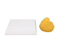Tomotato Modèle de Démonstration de Tissu Adipeux Humain, Réplique de Graisse Anatomique pour Nutritionnistes, Matériau Thermoplastique pour Cours de Science Anatomique et Motivati