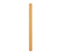 Tomotato Règle D'Architecture Triangulaire 30cm Aluminium Concave (Gold)