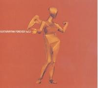 Tomoyasu Hotei - Guitarhythm Forever Vol.2