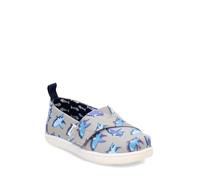 TOMS Classic Alpargata Semelle de Mocassin, Drizzle Grey Glow in The Dark White Shark, 19.5 EU