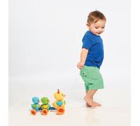 Tomy Famille de canards