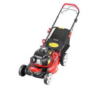 Tondeuse à gazon, moteur à essence, sac de ramassage d'herbe, appareil de jardin, appareil de jardin, machine 140 cm³, 3,73 kW, 51 cm, largeur de coupe 60 l, volume de collecte 1,6 l pour l'entretien