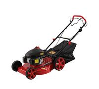 Tondeuse à Gazon Thermique 5 CV 140 cm³ Sac de ramassage 60 L réservoir d'eau 1,6 L 2800 TR/Min Roues 8"/10" pelouse et Jardin poignée antidérapante