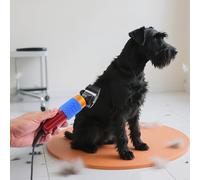 Tondeuse à moutons électrique avec mallette - Tondeuse professionnelle pour chevaux, moutons, chiens, chats, chèvres, vitesse réglable