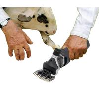 Tondeuse électrique pour poils de mouton, puissance 350W, vitesse 3600 tr/min, idéale pour le soin des animaux ,