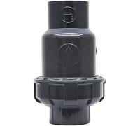 Tondeuse pour poils de nez， Clapet anti-retour 1 pièce, raccords de tuyauterie en PVC, pièces de système de plomberie, tuyau d'eau, valeur UPVC sans retour(Inner 40mm)
