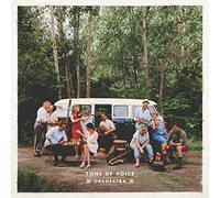 Tone of Voice Orchestra Tone of Voice Orchestra (Vinyl) 12" Album