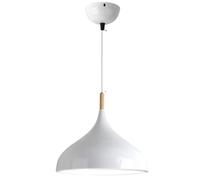 TONFON Restaurant Lustre en métal coloré Éclairage créatif Nordique Lampe Suspendue Décoration d'intérieur Lampe Suspendue à Hauteur réglable for îlot de Cuisine Salon Chambre Chevet(White,42cm)