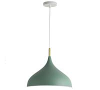 TONFON Restaurant Lustre en métal coloré Éclairage créatif Nordique Lampe Suspendue Décoration d'intérieur Lampe Suspendue à Hauteur réglable for îlot de Cuisine Salon Chambre Chevet(Green,42cm)