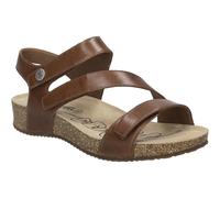 Tonga 25 camel 38