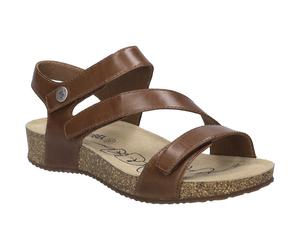 Tonga 25 camel 38